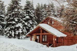 Winter roof maintenance tips in Jamison, PA for big trees